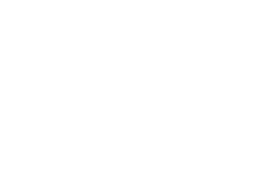 logo_mitja_blanc logo_mitja_blanc