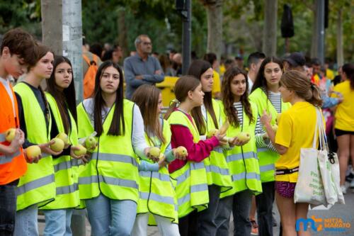 cursa-de-les-dones-Terrassa-2025-079