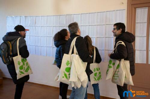 mitja-marato-terrassa-2026-00010