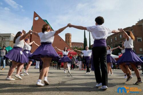 mitja-marato-terrassa-2026-00155